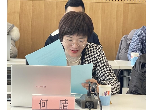 古装a片