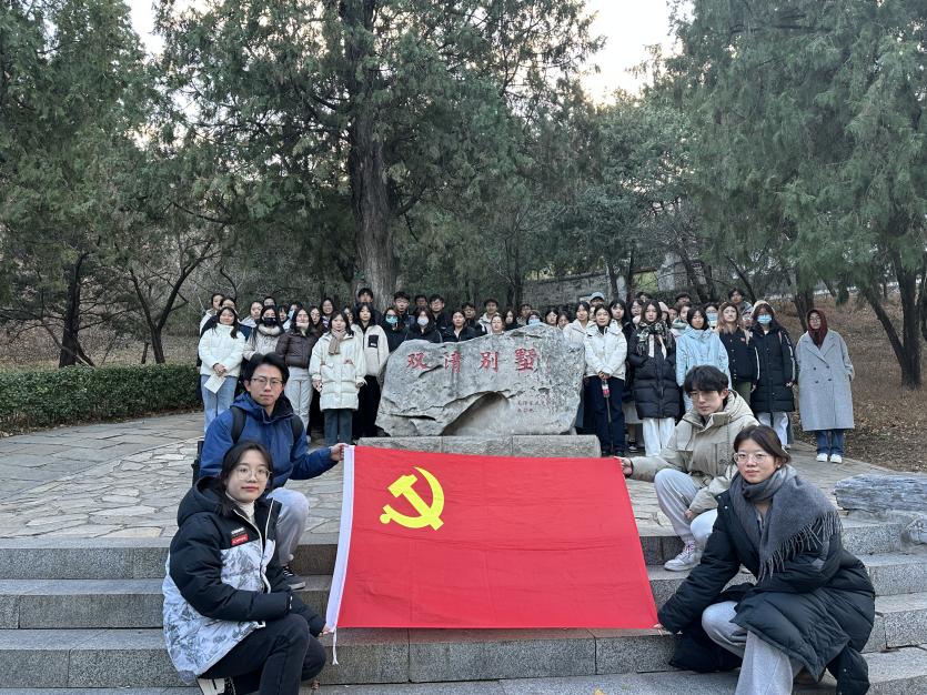 古装a片