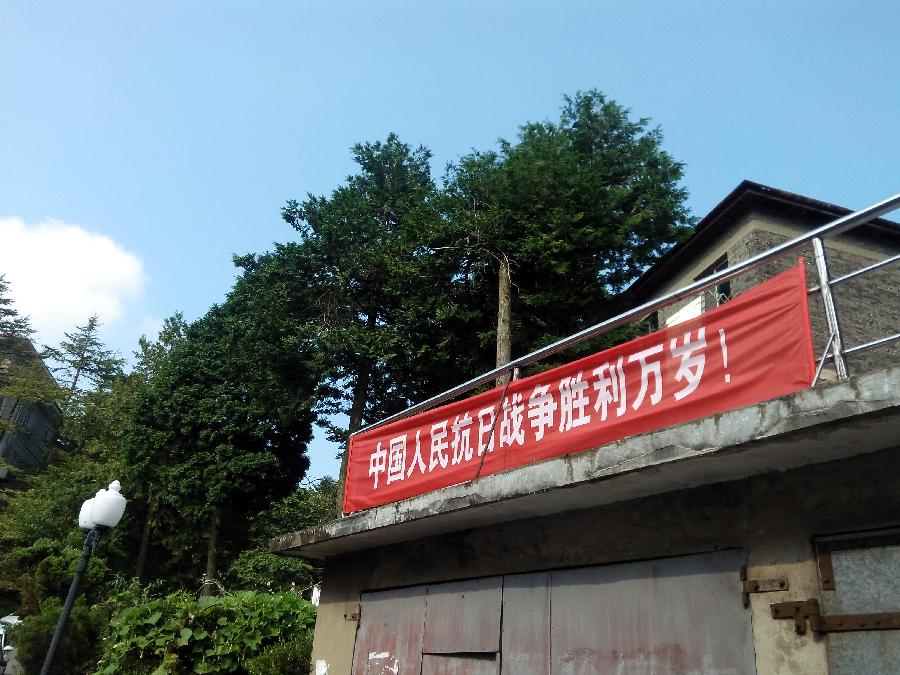 古装a片