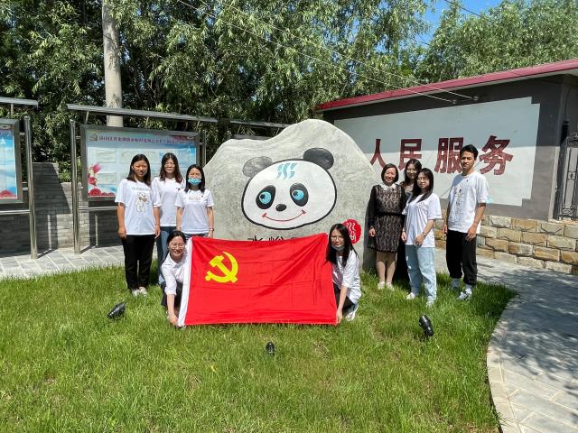 古装a片
